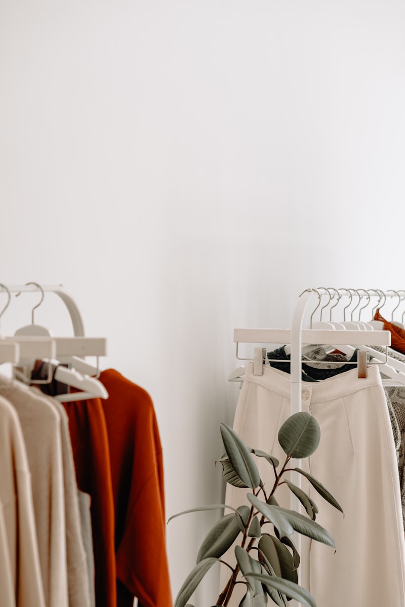 Neutral toned garments on a minimalist rack with a plant